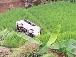 Angkot Terjun ke Pematang Sawah di Cigalontang Saat Hendak Jemput Jemaah Pengajian