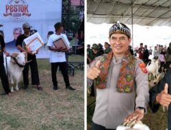 PDP CHICAGO PAC Cigalontang Raih Juara 1 Domba Pedaging di Pestok 2026 Kabupaten Tasikmalaya