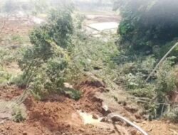 Diduga Dipicu Gempa M 5,0, Tebing Longsor di Kampung Naga Tasikmalaya Timbun 2 Hektare Lahan Pertanian Warga